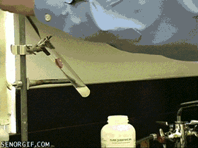 20.gif