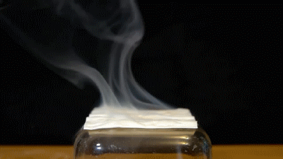 281.gif